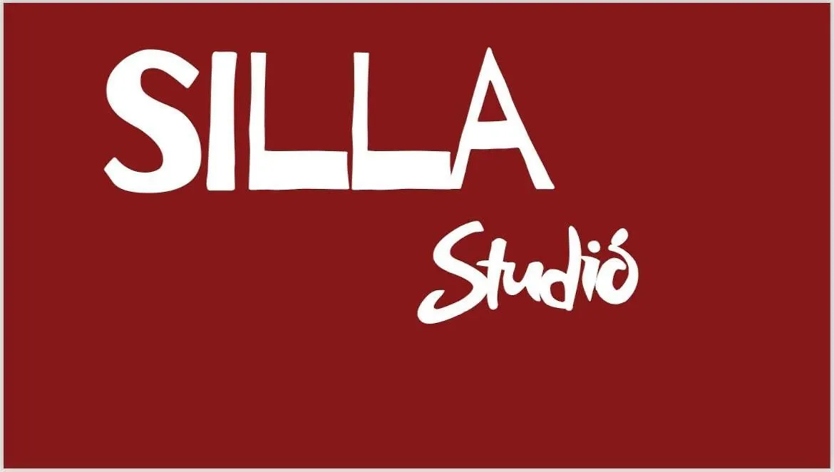 Silla Studio - Piccolo Appartamento A Due Passi Dal Vaticano Rome Appartement